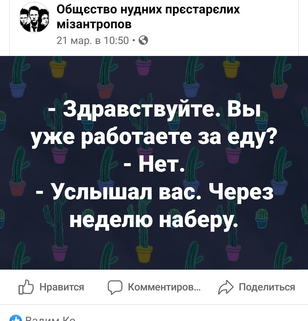 вы.jpg