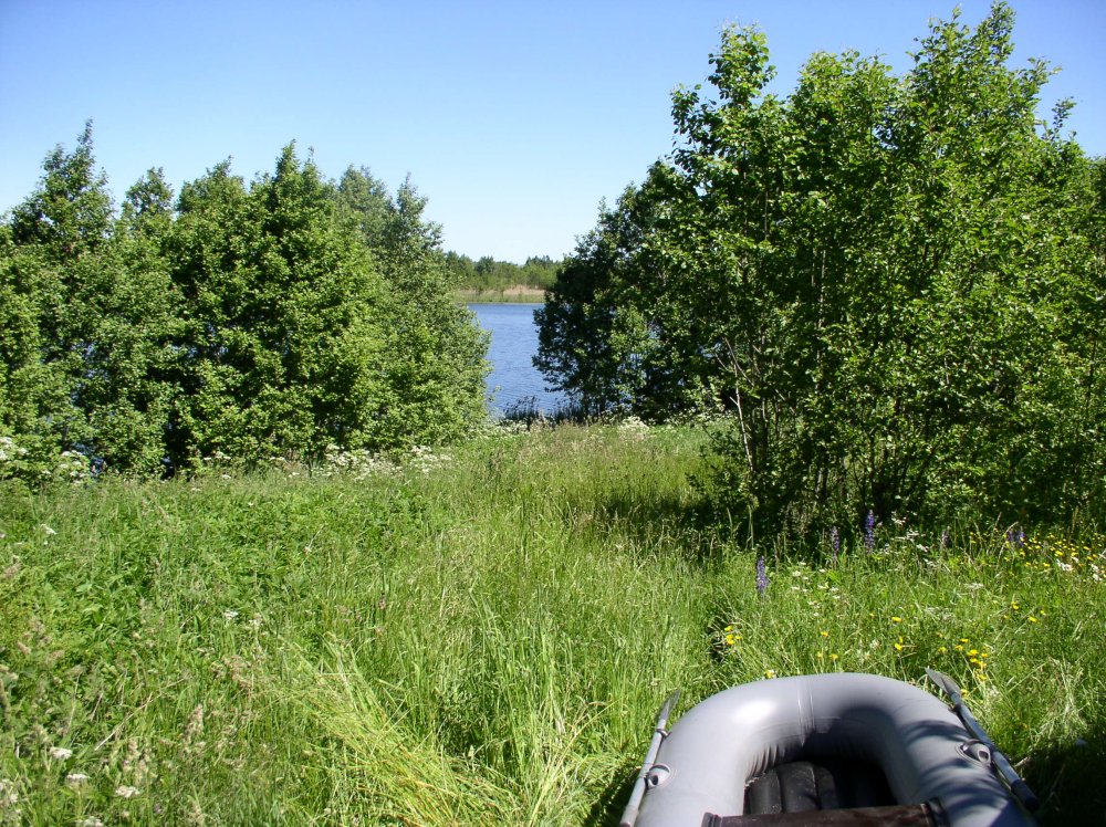 Waserman14A 004.jpg