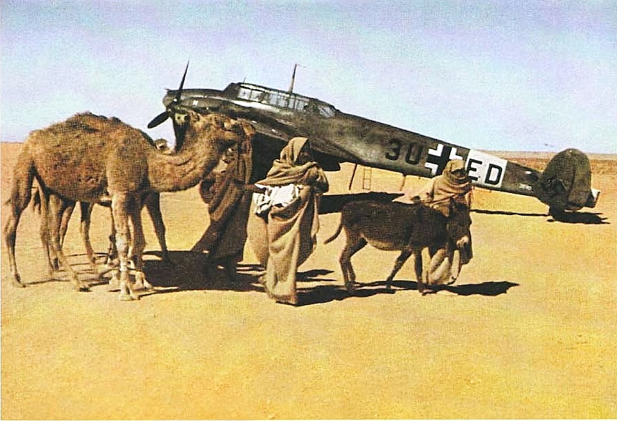 Wehrmacht-Camel-4.jpg