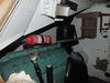 Wespe_Munster_022.gif