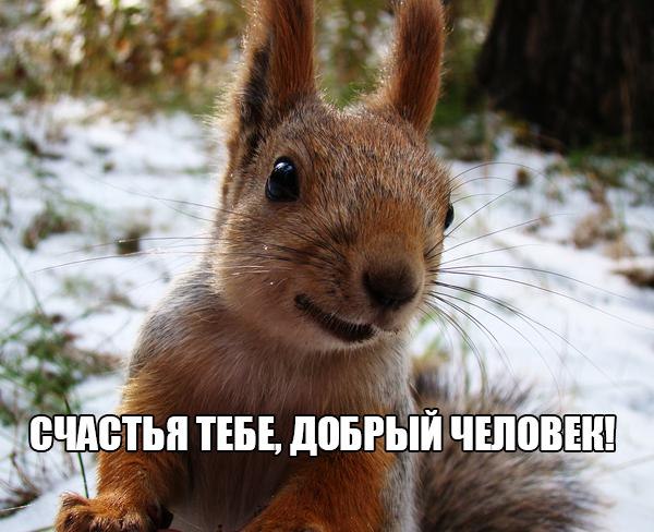 WIb-zdgW2-Y.jpg