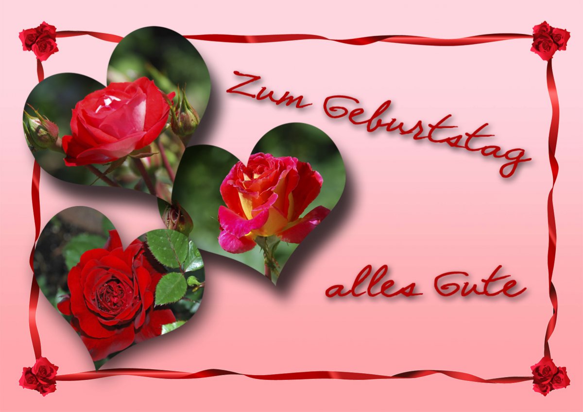 Wir gratulieren Daniela (DaniDirk) zum Geburtstag.jpg