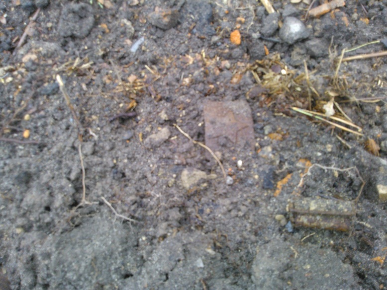 WP_000957.jpg