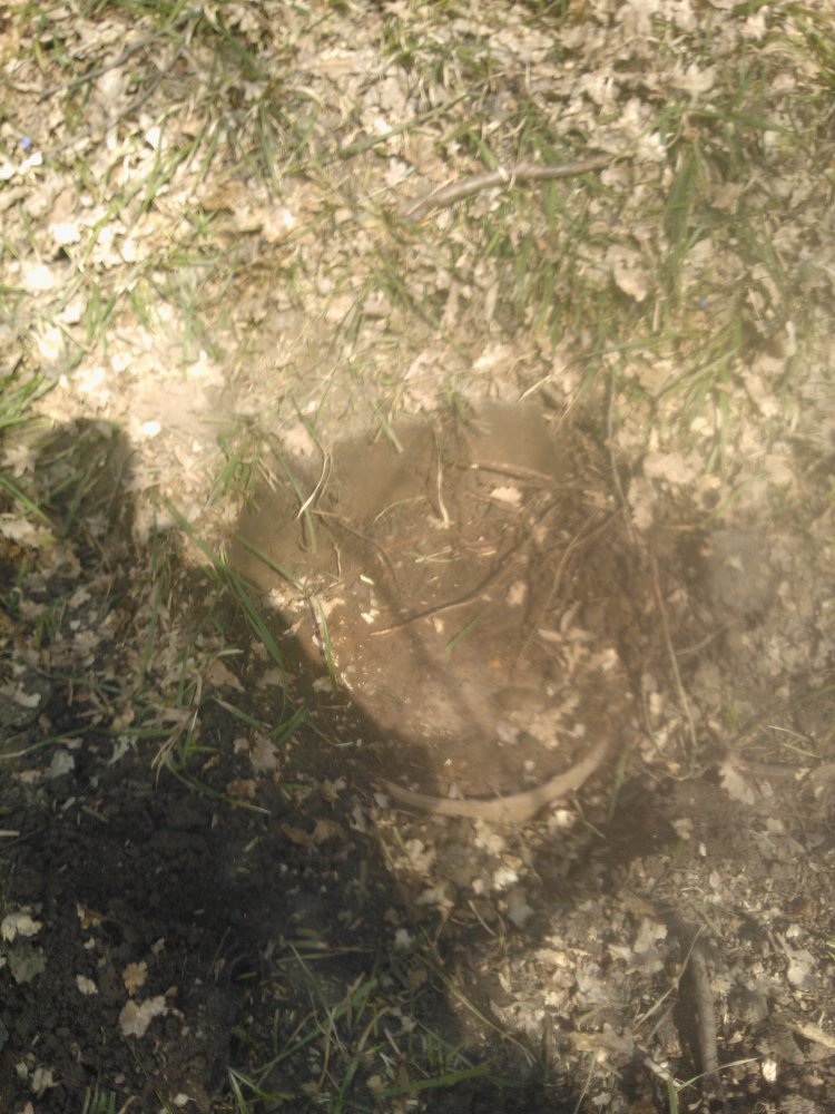 WP_001057.jpg