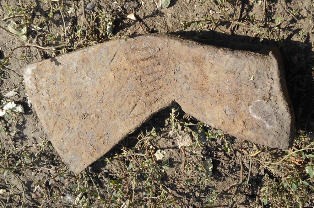 WP_001858.jpg