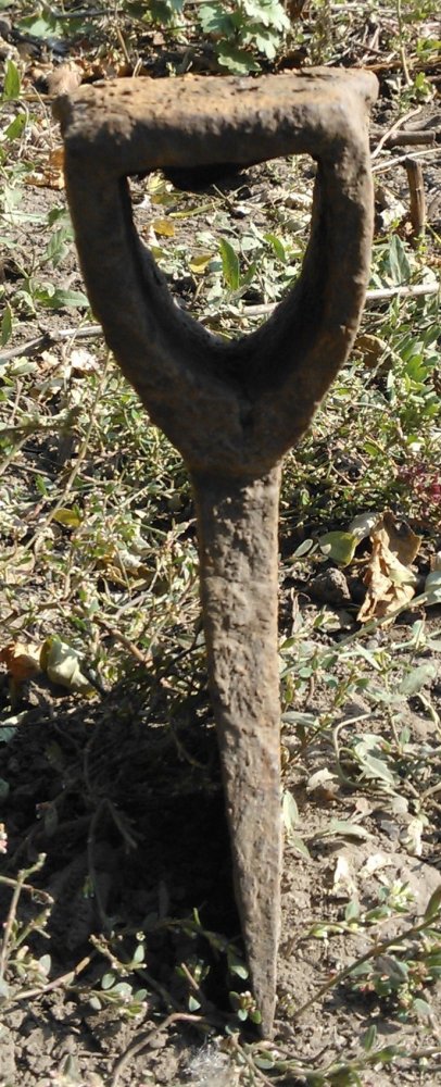 WP_001859.jpg