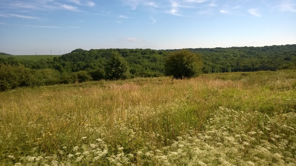 WP_20140722_002[1].jpg