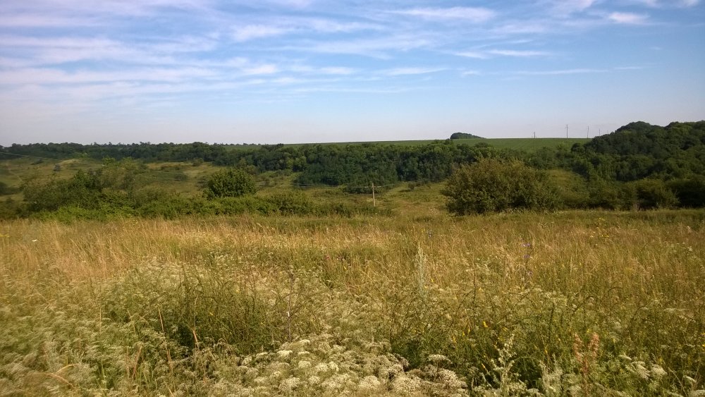 WP_20140722_004[1].jpg
