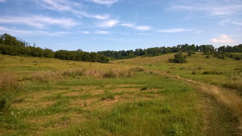 WP_20140722_006[1].jpg