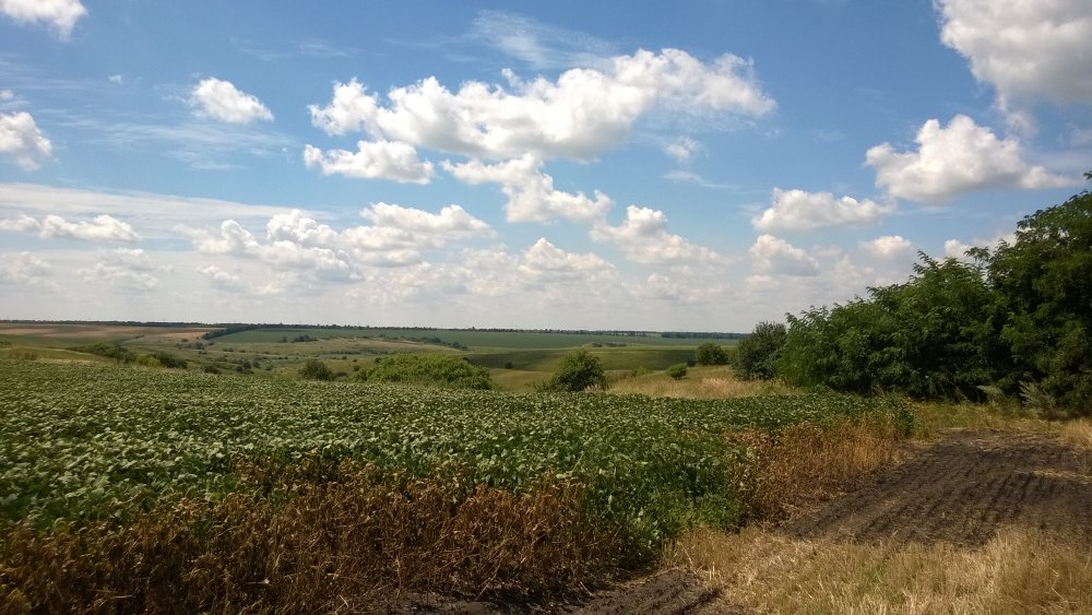 WP_20140722_008[1].jpg