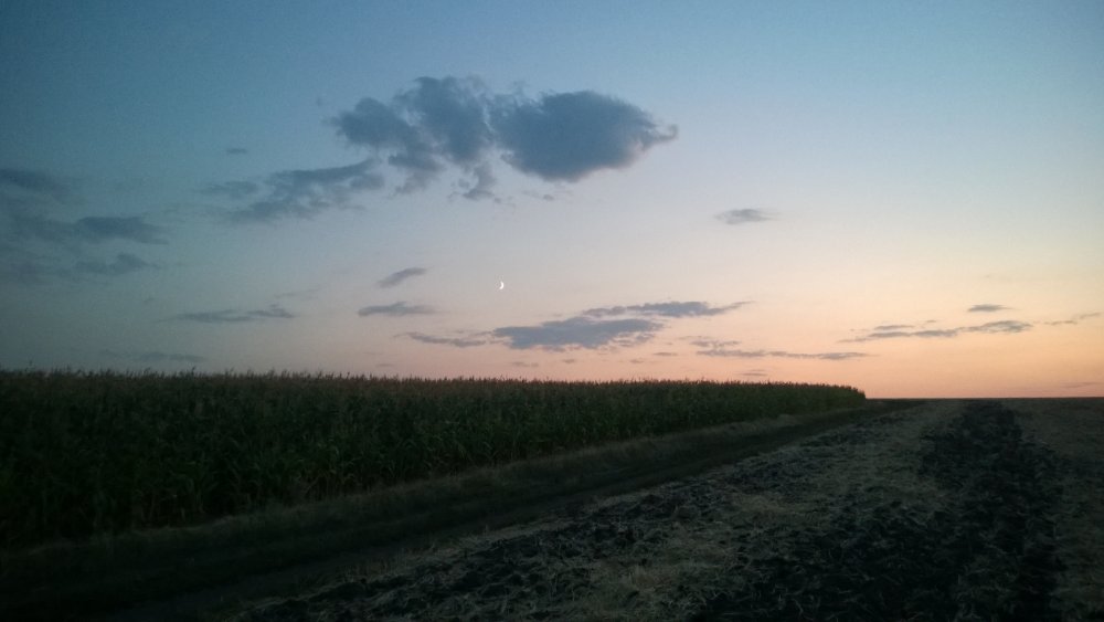 WP_20140731_001[1].jpg