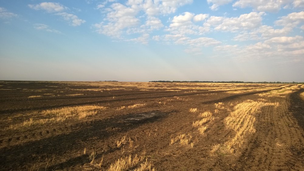 WP_20140803_001[1].jpg