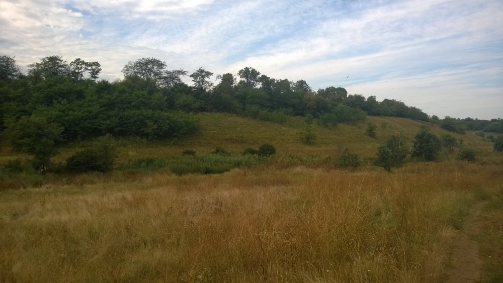 WP_20140817_001[1].jpg