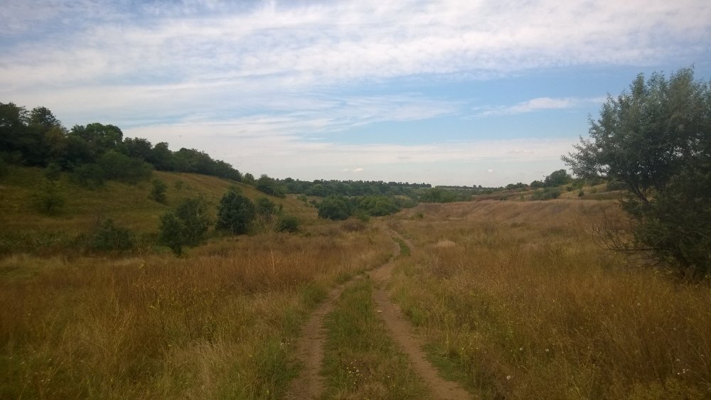 WP_20140817_003[1].jpg