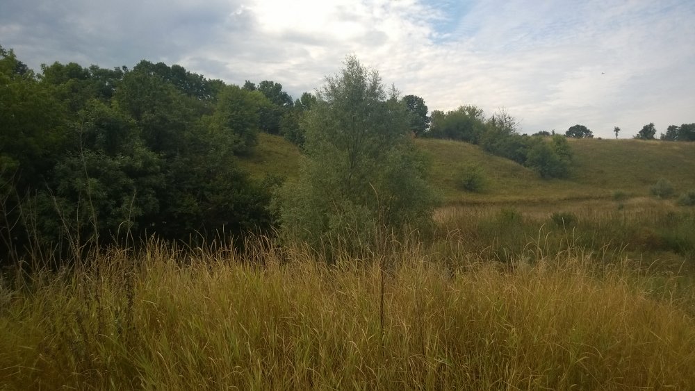 WP_20140817_005[1].jpg