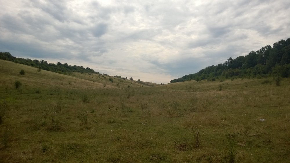 WP_20140817_007[1].jpg