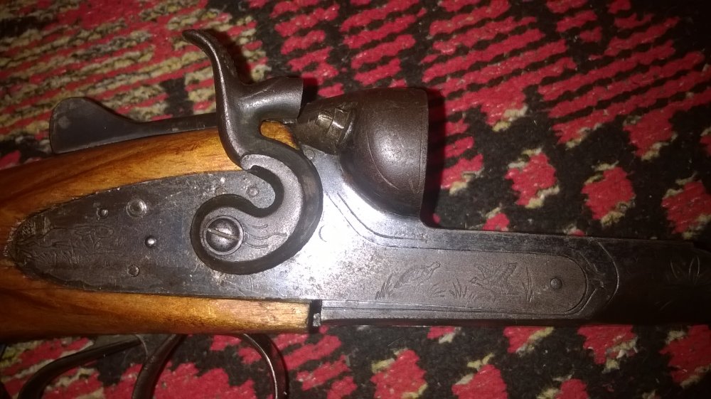 WP_20150214_004.jpg