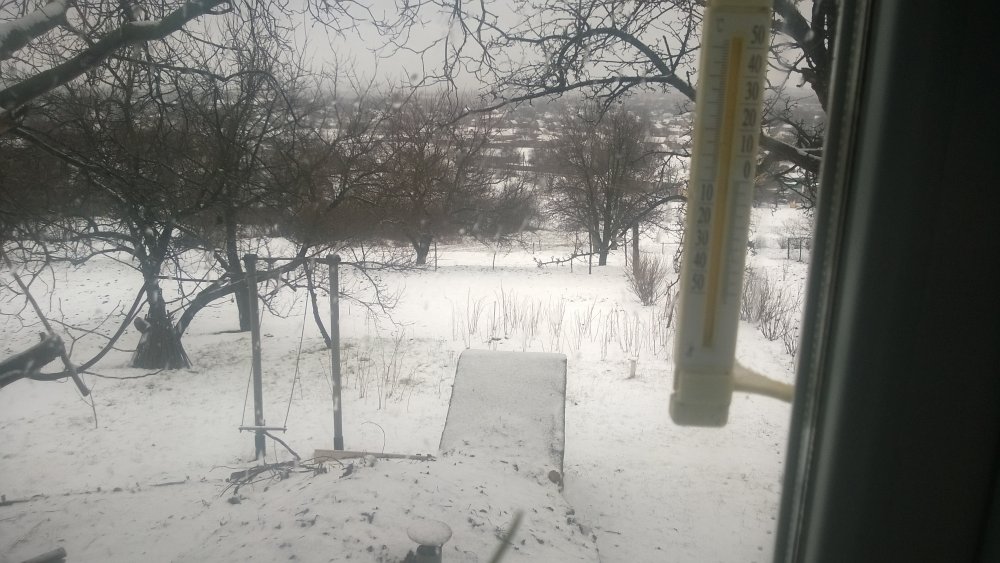 WP_20150329_001.jpg