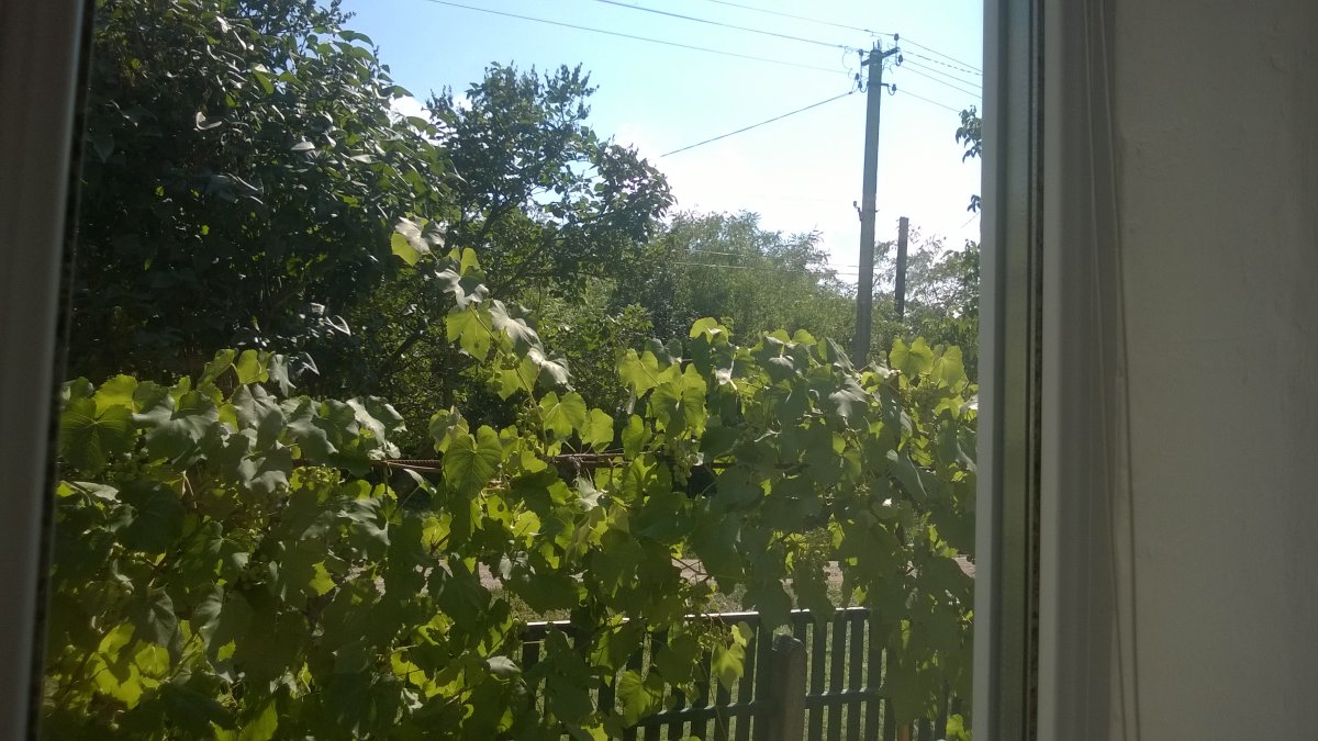 WP_20150728_002.jpg