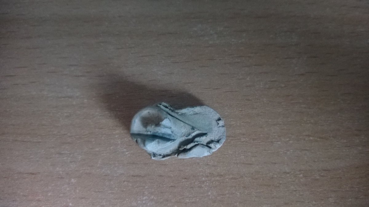 WP_20150906_001.jpg