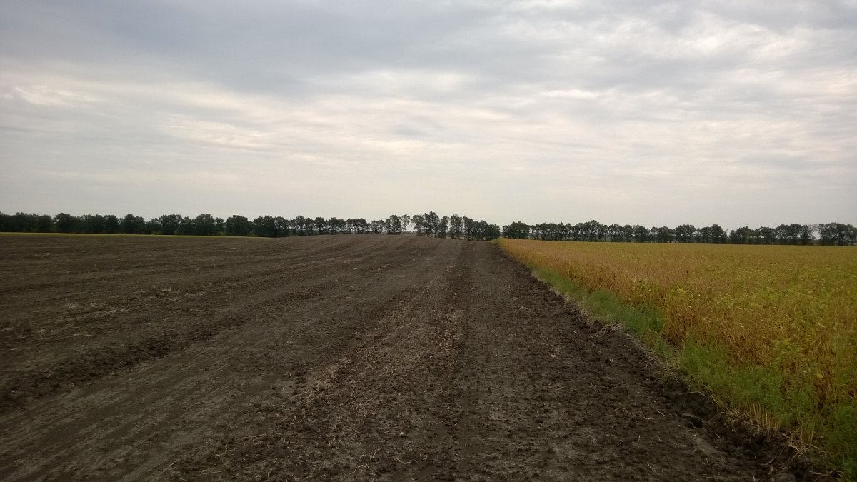 WP_20150912_001.jpg