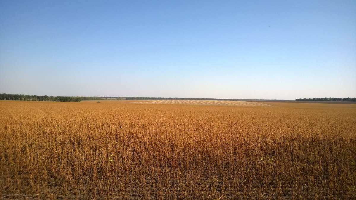 WP_20150919_001[1].jpg