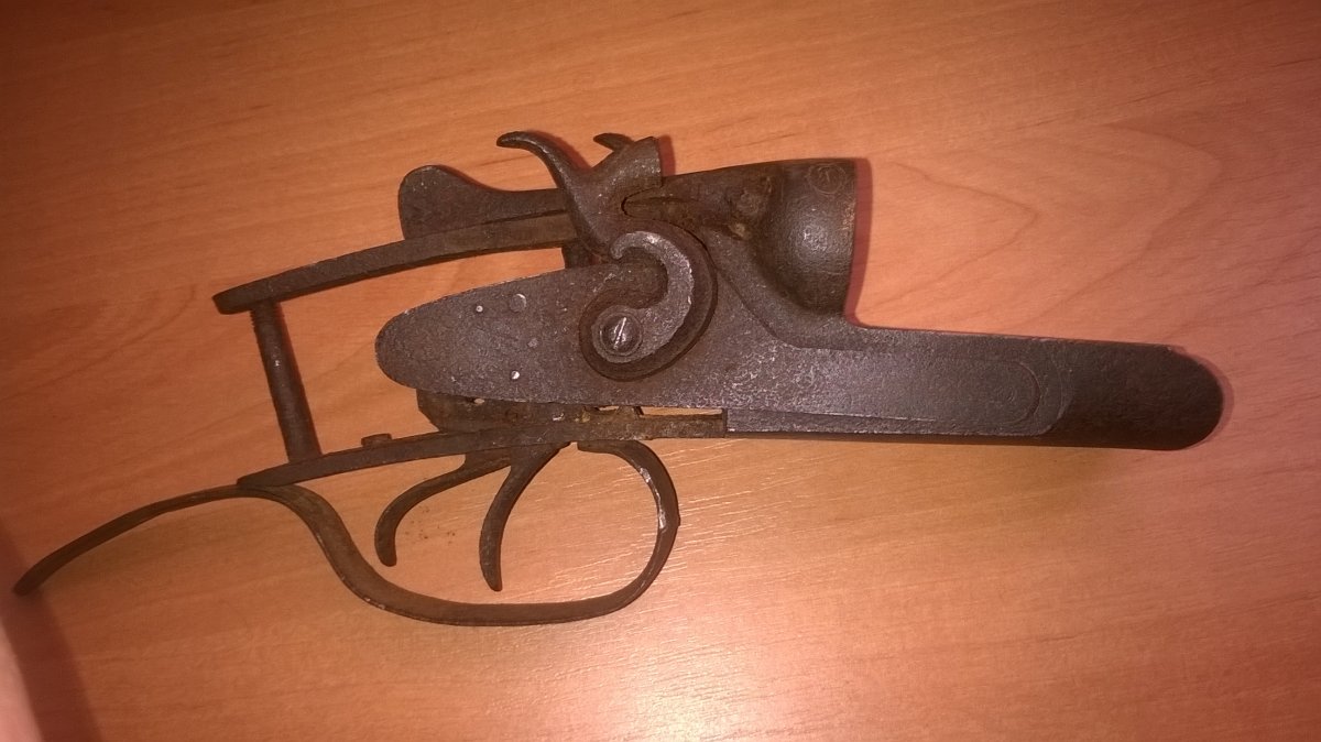 WP_20160124_002.jpg