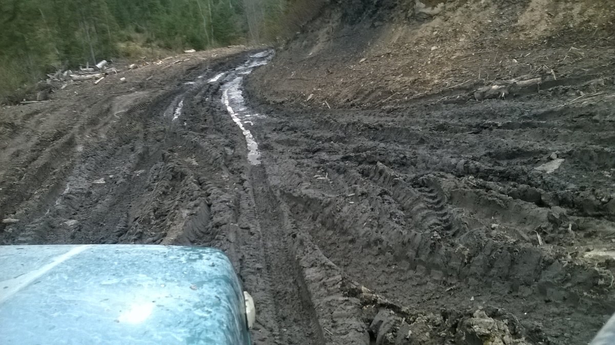 WP_20160416_032.jpg