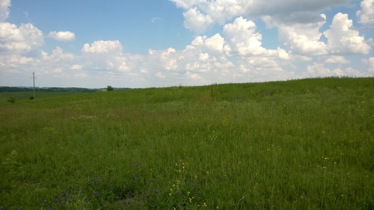 WP_20160604_002[1].jpg
