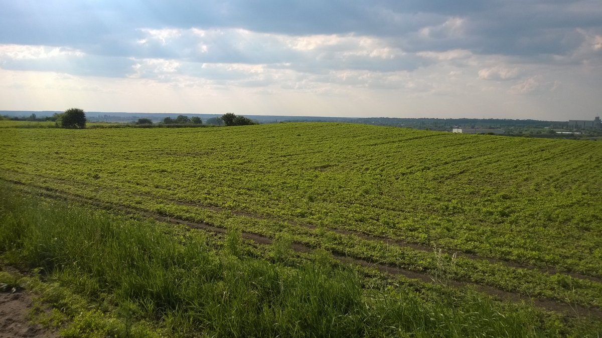 WP_20160604_008[1].jpg