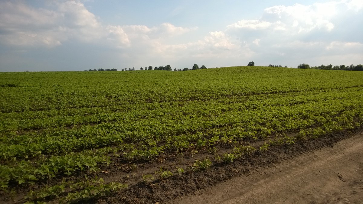 WP_20160604_009[1].jpg