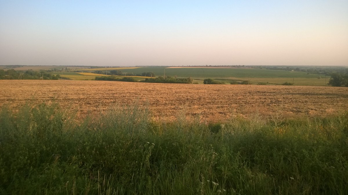 WP_20160716_002[1].jpg