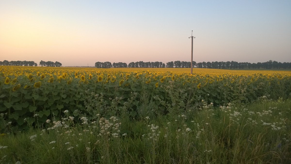 WP_20160716_006[1].jpg
