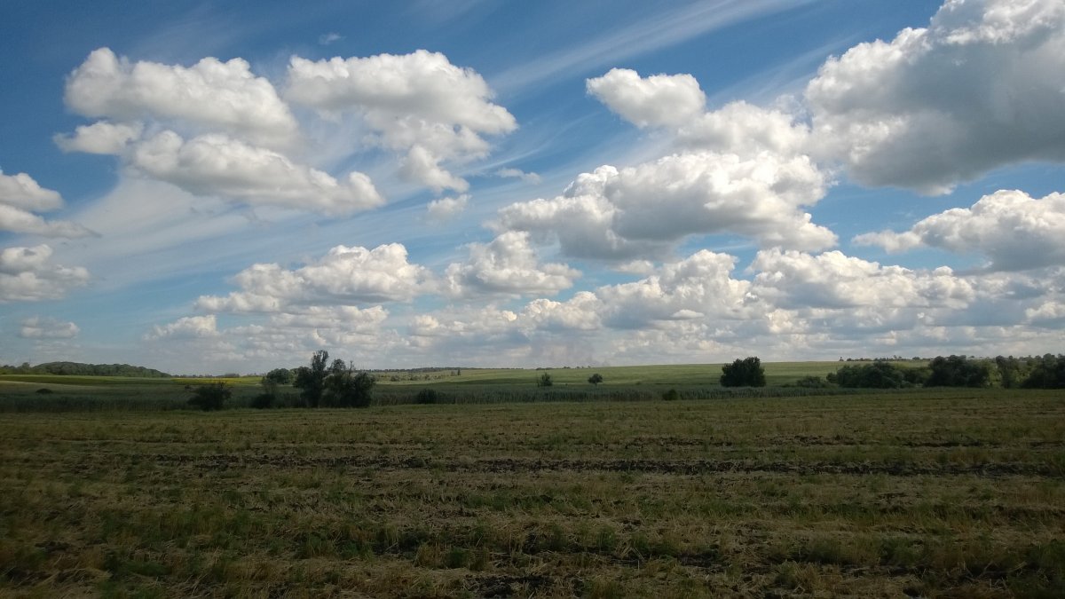 WP_20160723_001.jpg
