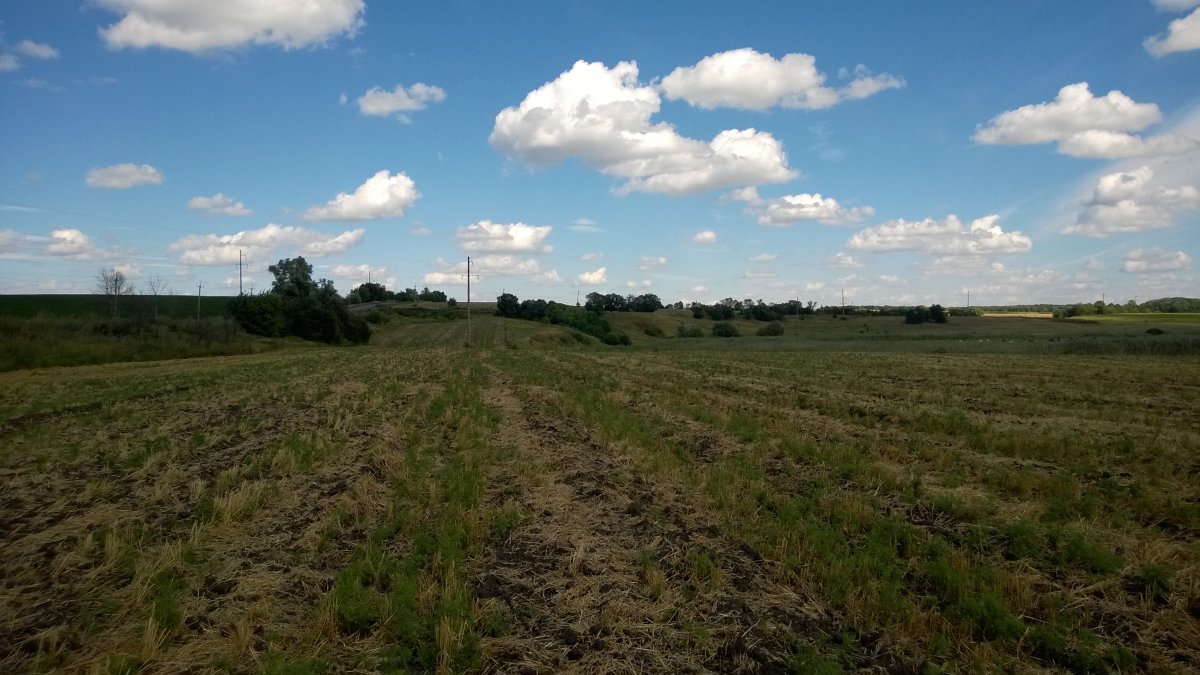 WP_20160723_002.jpg