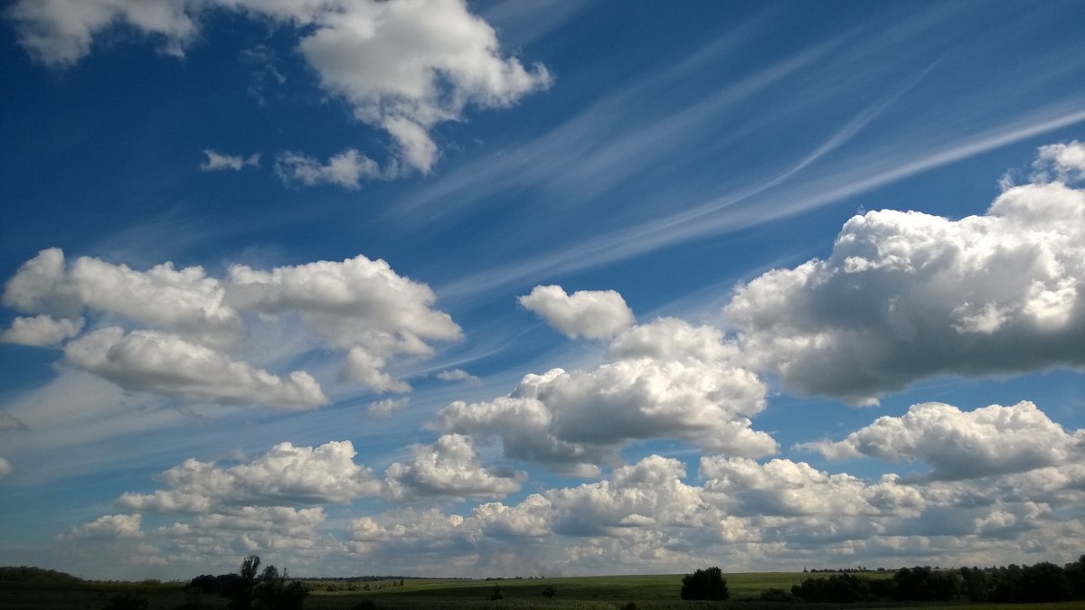 WP_20160723_003.jpg