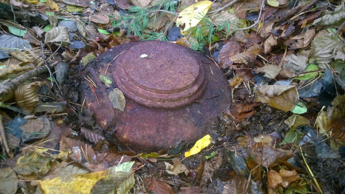 WP_20161105_001.jpg