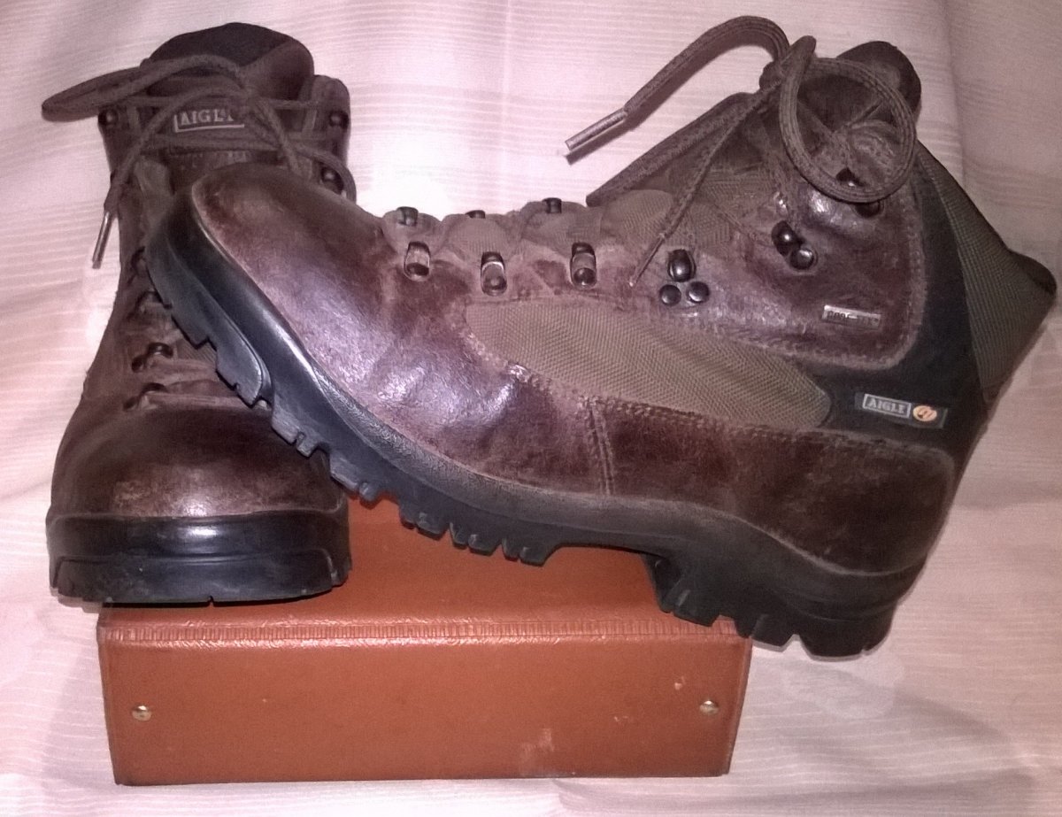 Aigle line 7 walking boots hotsell