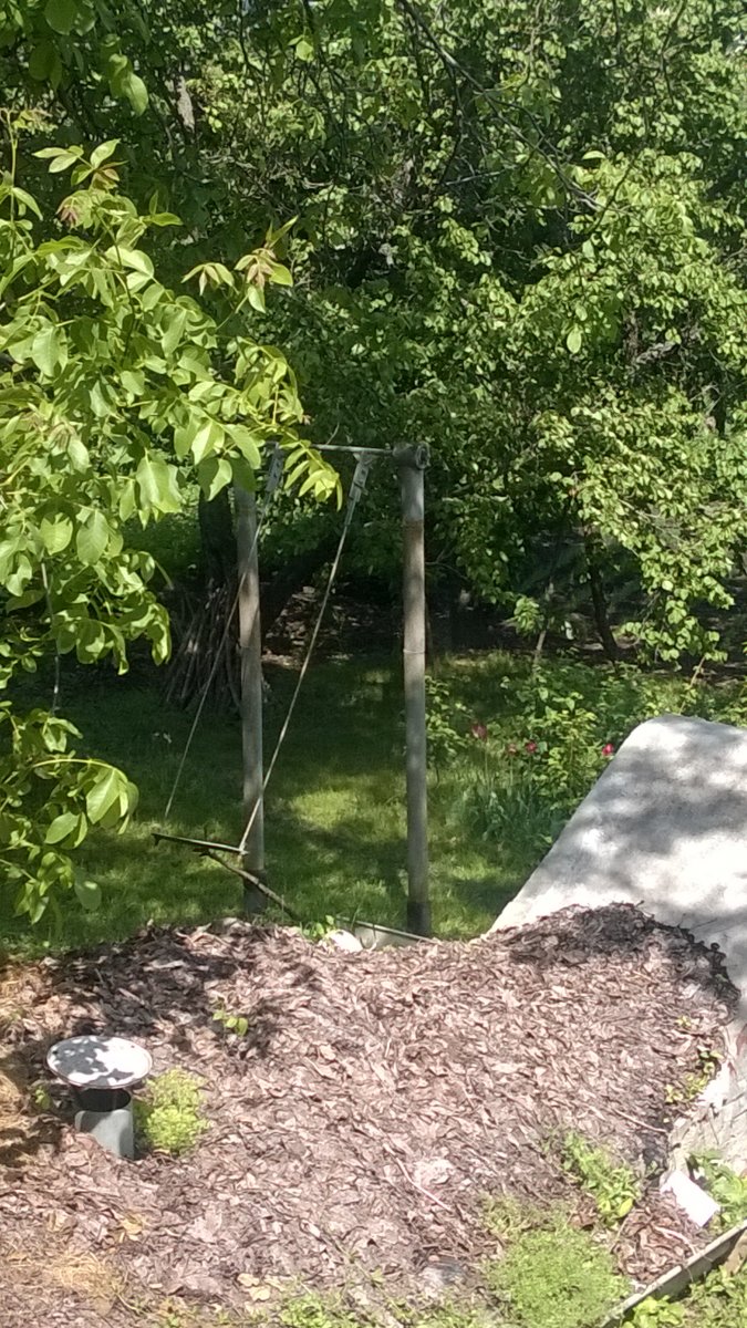 WP_20170528_001[1].jpg