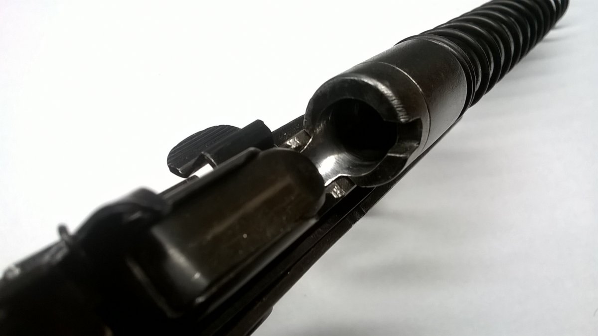 WP_20200320_01_37_25_Pro.jpg