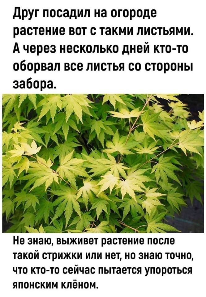 X3ImX2s.jpg