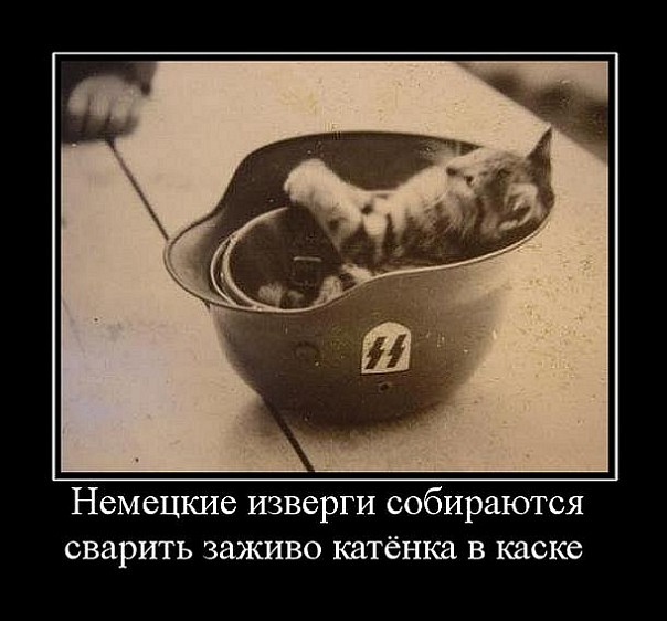 x_160e6f3e.jpg