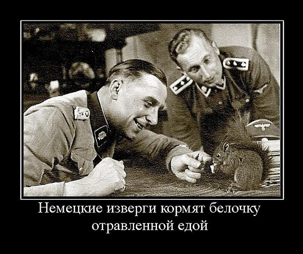 x_744248ae.jpg