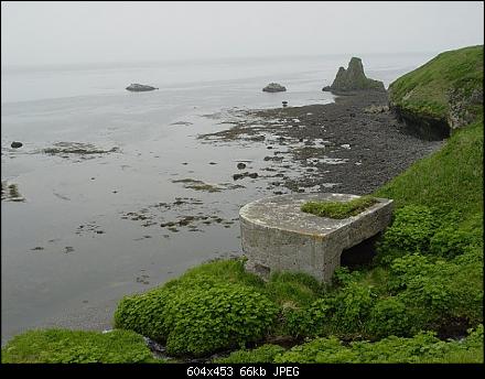 x_748d57d8.jpg
