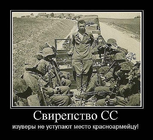 x_cfee024b.jpg