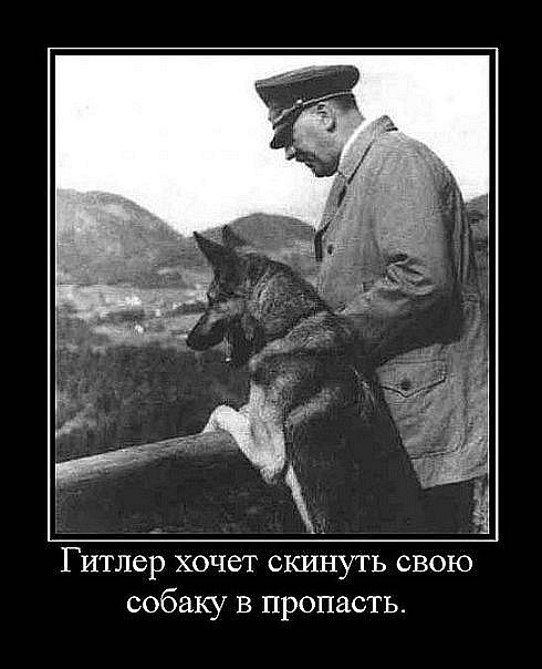 x_dc379354.jpg