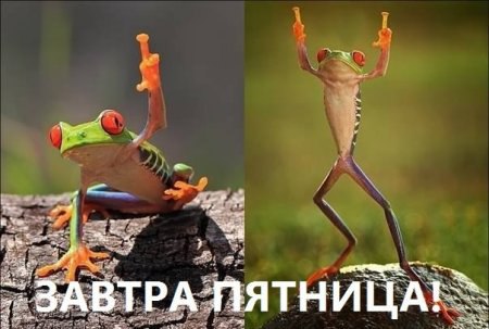 xIauHoOPM50.jpg