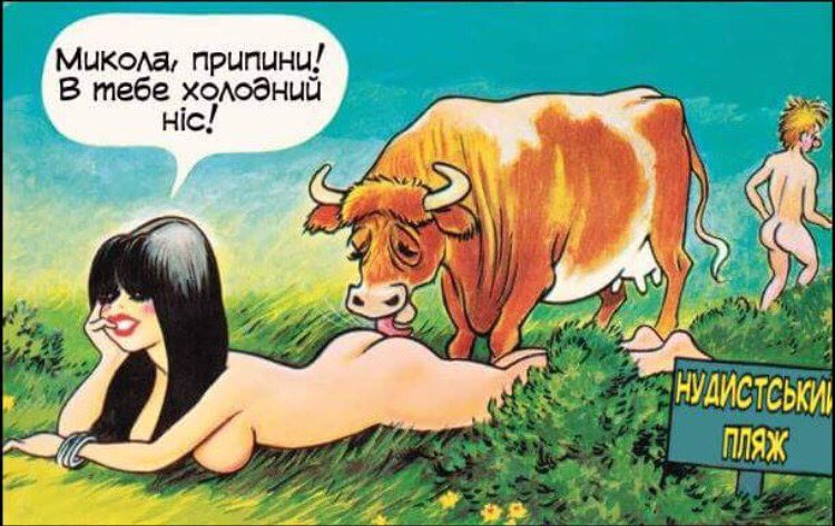 Холодный нос.png