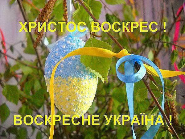 Хв.jpg