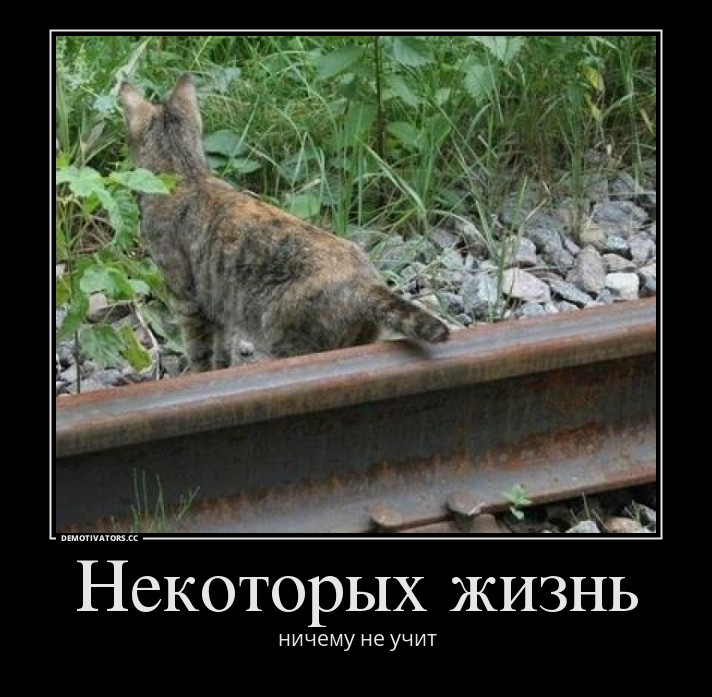 yks8loxze15nq6b2.jpg